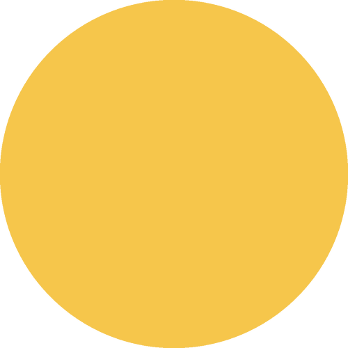 Always Sunny, Espresso or Filter  - 5LB BAG