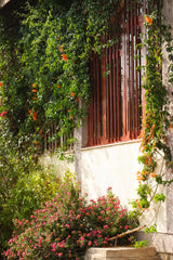 Dumerso Sisters, Ethiopia - 300g